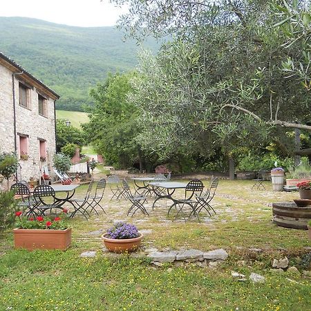 Вилла Il Giardino Degli Ulivi Кастельраймондо Экстерьер фото