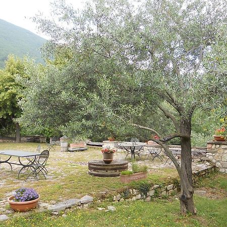 Вилла Il Giardino Degli Ulivi Кастельраймондо Экстерьер фото