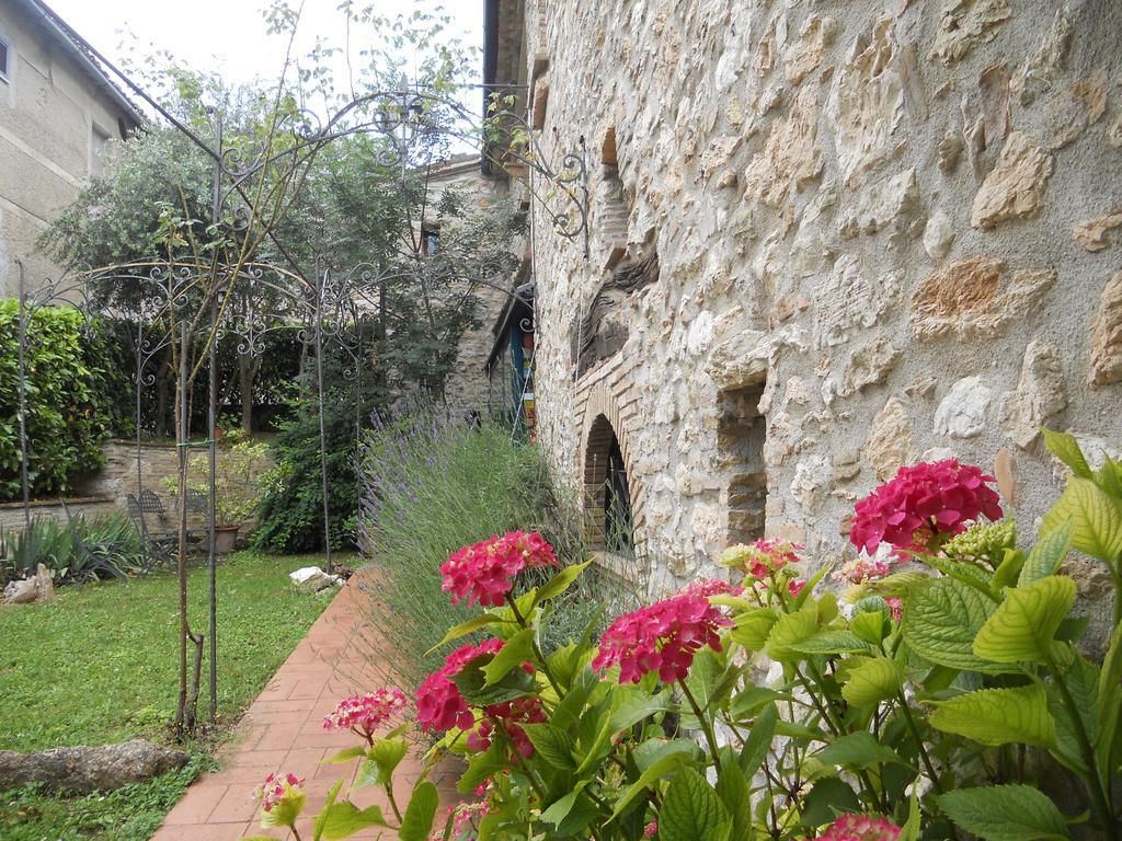 Вилла Il Giardino Degli Ulivi Кастельраймондо Экстерьер фото