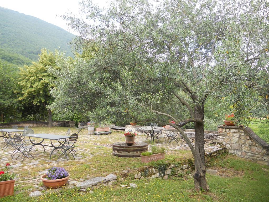 Вилла Il Giardino Degli Ulivi Кастельраймондо Экстерьер фото
